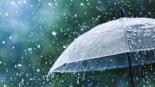 Жълт код за интензивни валежи в част от страната утре