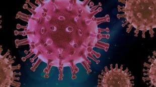 През последното денонощие са регистрирани нови 5 случая на коронавирус