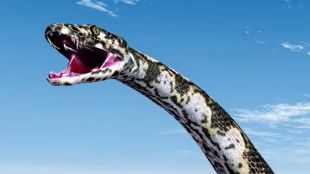 Откриха останки от най-голямата змия на Земята
