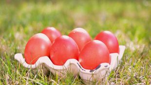 Раздадоха 5000 червени яйца в Бачковския манастир