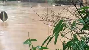 Най-малко 29 души са загинали, а 60 други са в неизвестност след проливите дъждове в Бразилия