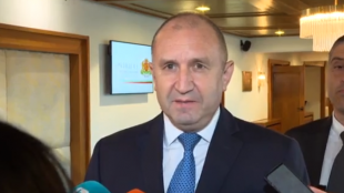 Договорът с „Боташ“ е част от диверсификацията на България, заяви Румен Радев