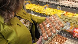 Боядисаните яйца крият опасности